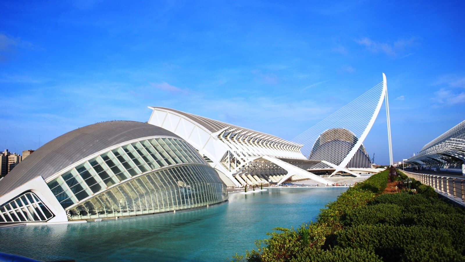 The white curved shells of the City of Arts and Sciences in Valencia above their pools.